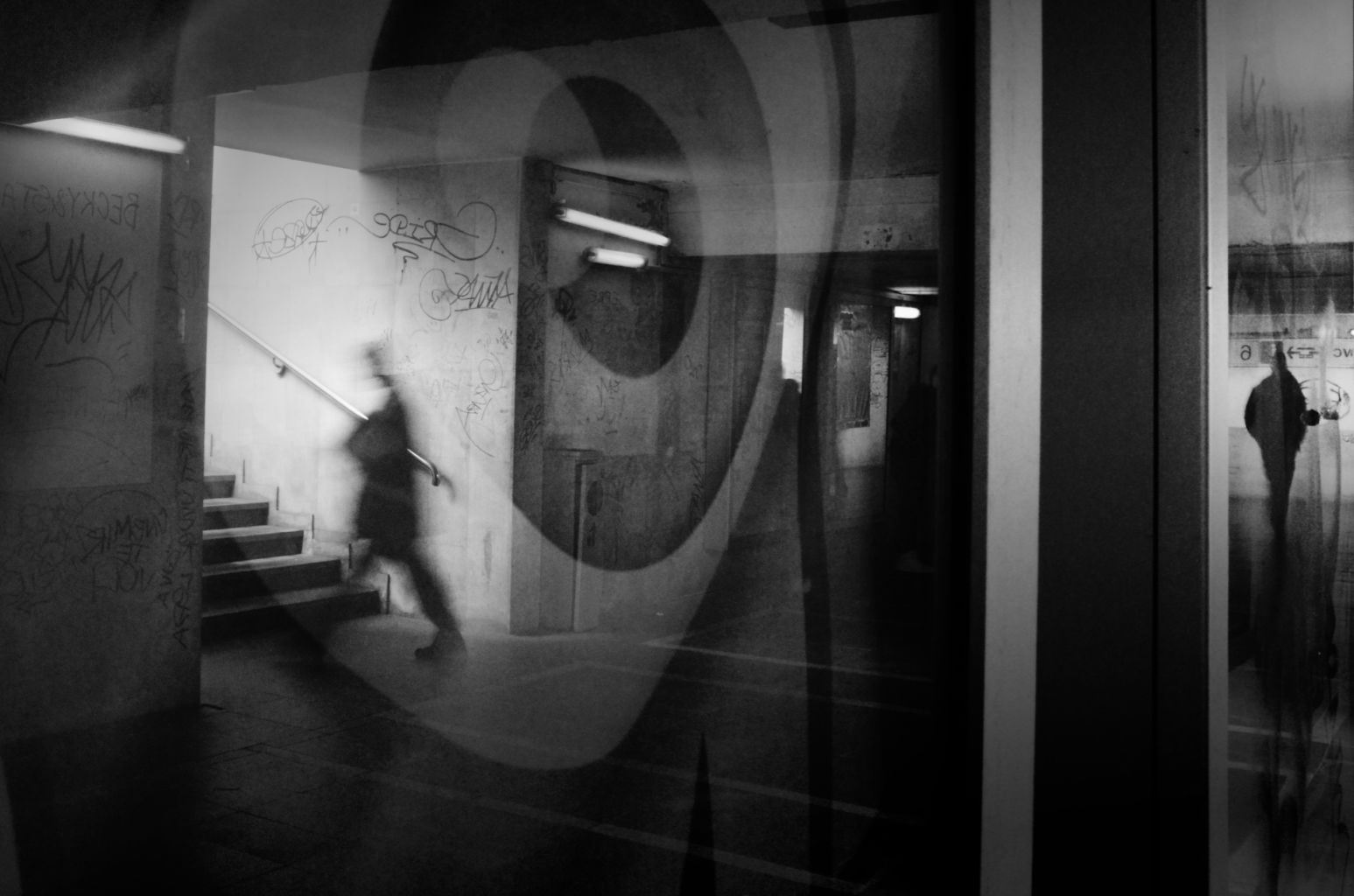 「Olga Karlovac」的圖片搜尋結果